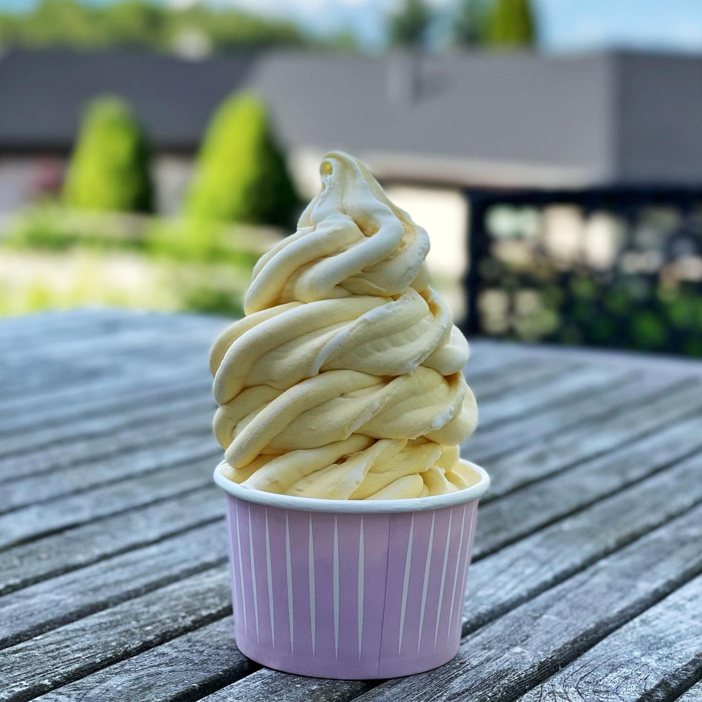 Hand håller en Real Fruit Ice Cream cone